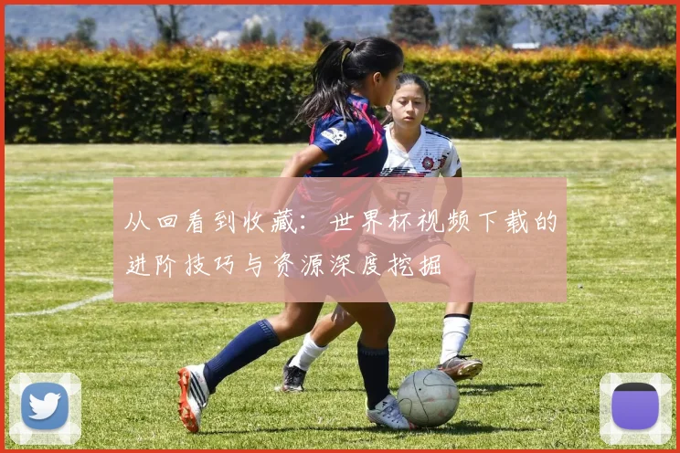 从回看到收藏：世界杯视频下载的进阶技巧与资源深度挖掘